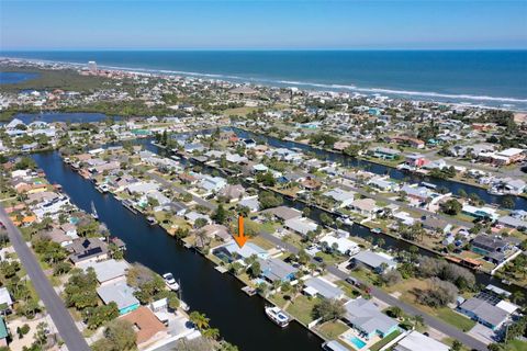 A home in FLAGLER BEACH