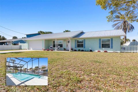 A home in FLAGLER BEACH