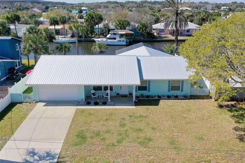 A home in FLAGLER BEACH