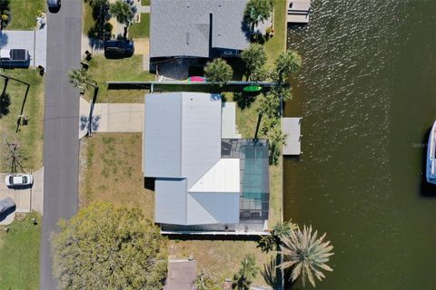 A home in FLAGLER BEACH