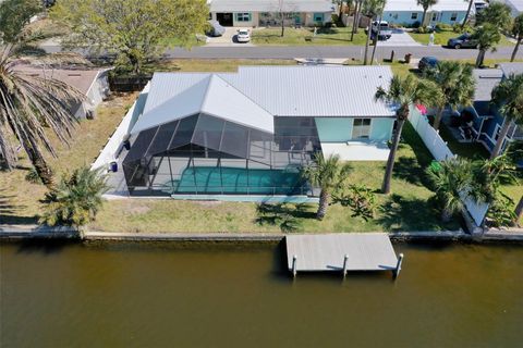 A home in FLAGLER BEACH