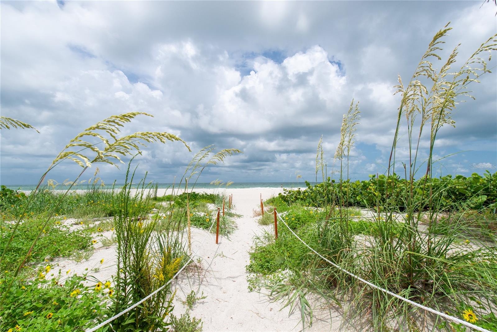 SAND KEY CONDO-SOUTH BEACH - Residential Lease