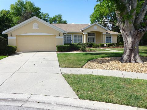 9003 OAKCREST CIRCLE MOUNT DORA FL 32757