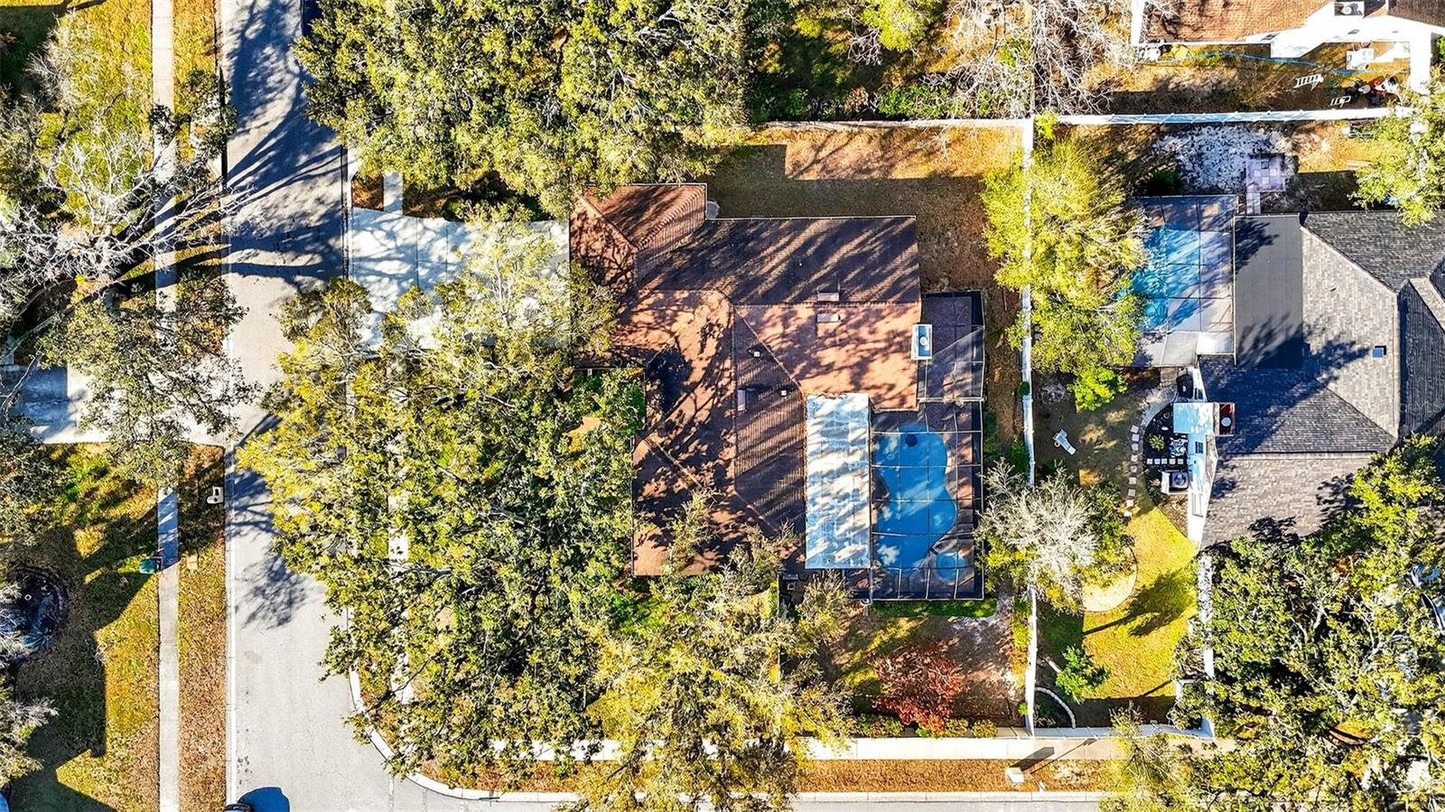 FRANCES ARBOR VILLAS - Residential