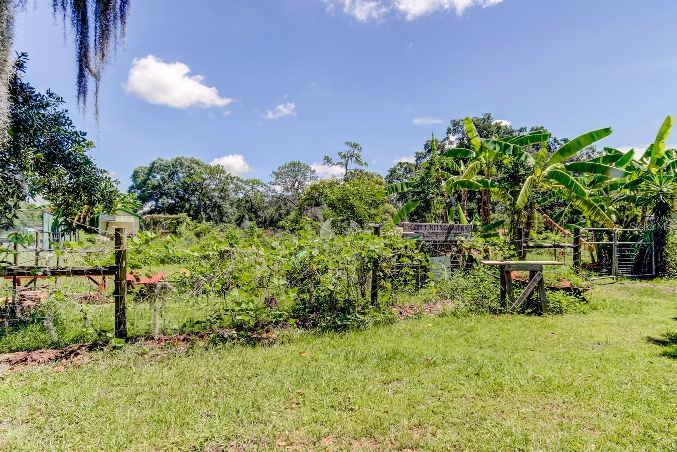 FRANCES ARBOR VILLAS - Residential