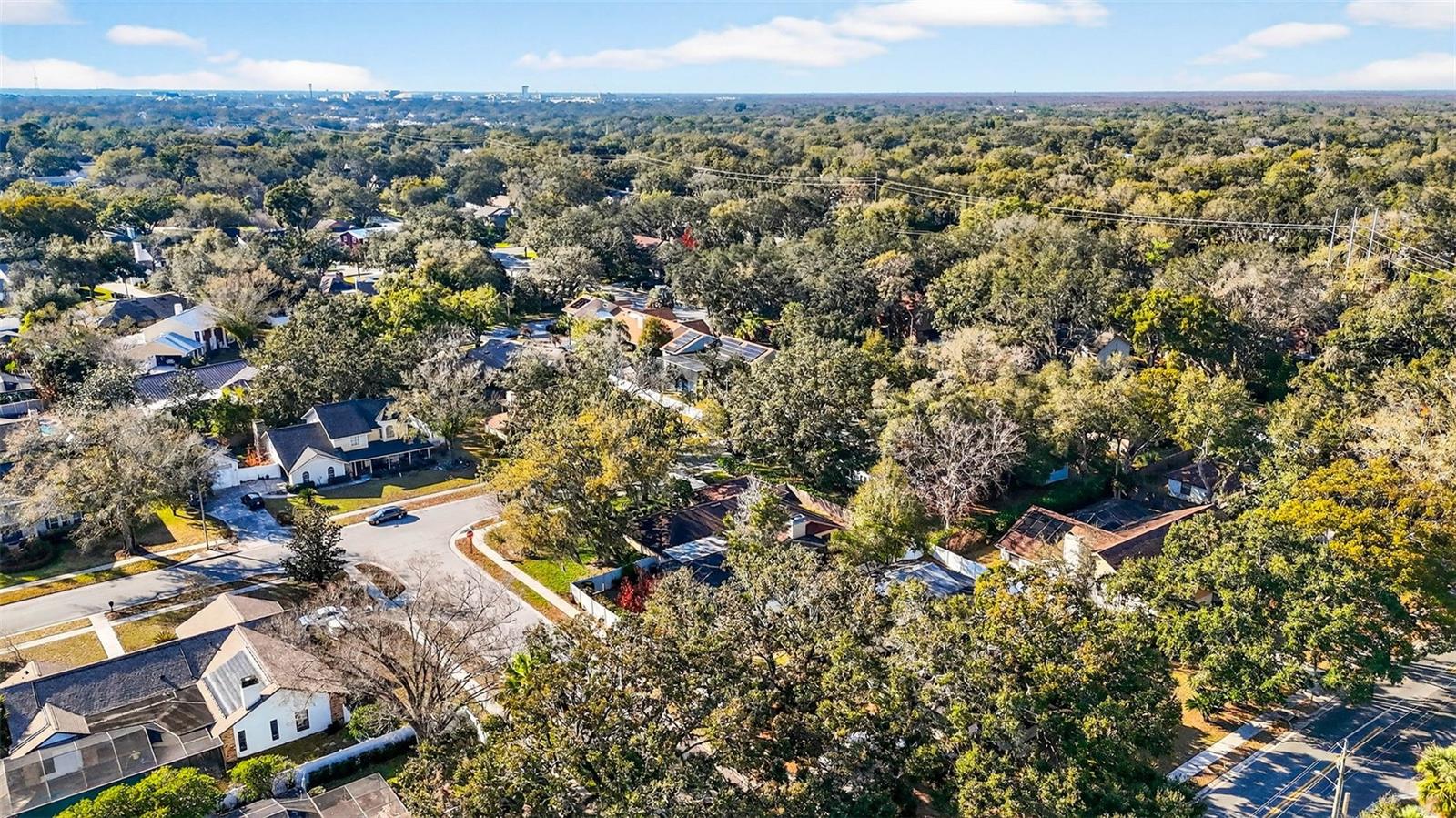 FRANCES ARBOR VILLAS - Residential