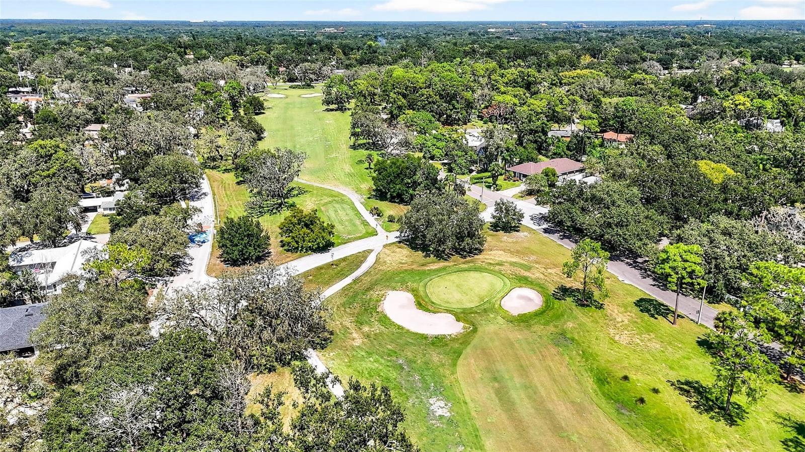 FRANCES ARBOR VILLAS - Residential