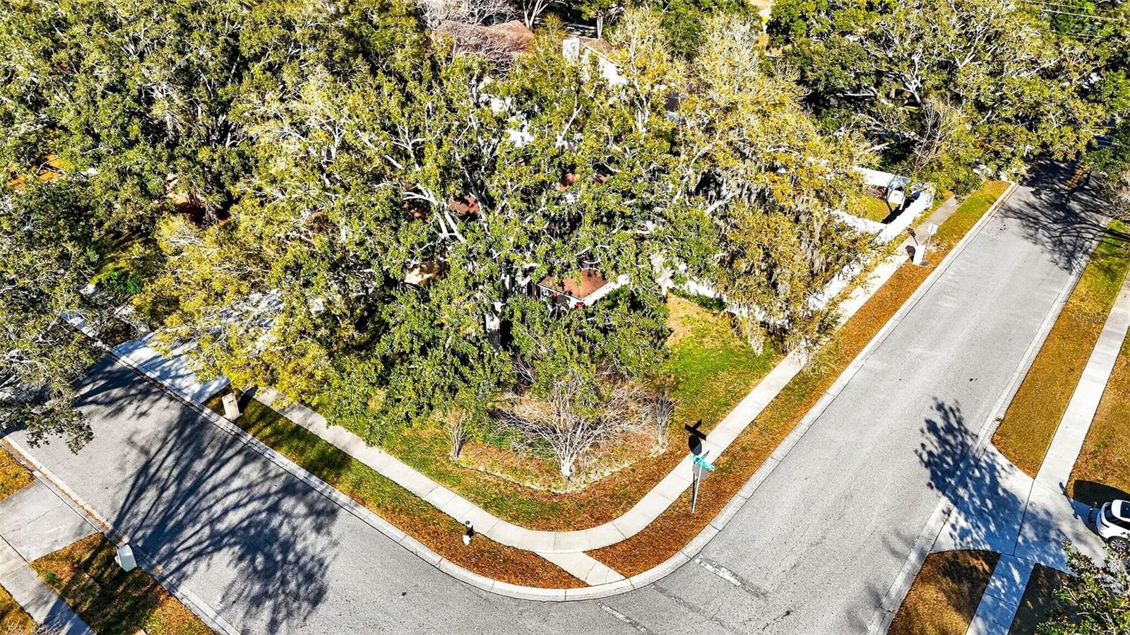 FRANCES ARBOR VILLAS - Residential