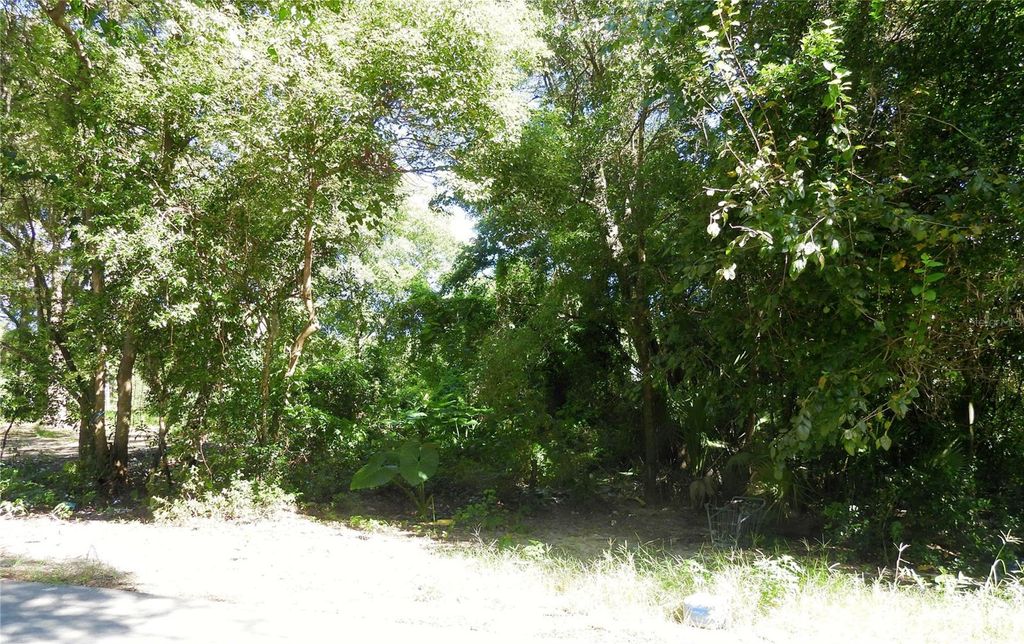 Photo of SW 198 Terrace, Dunnellon, FL 34432 (MLS # OM709003)