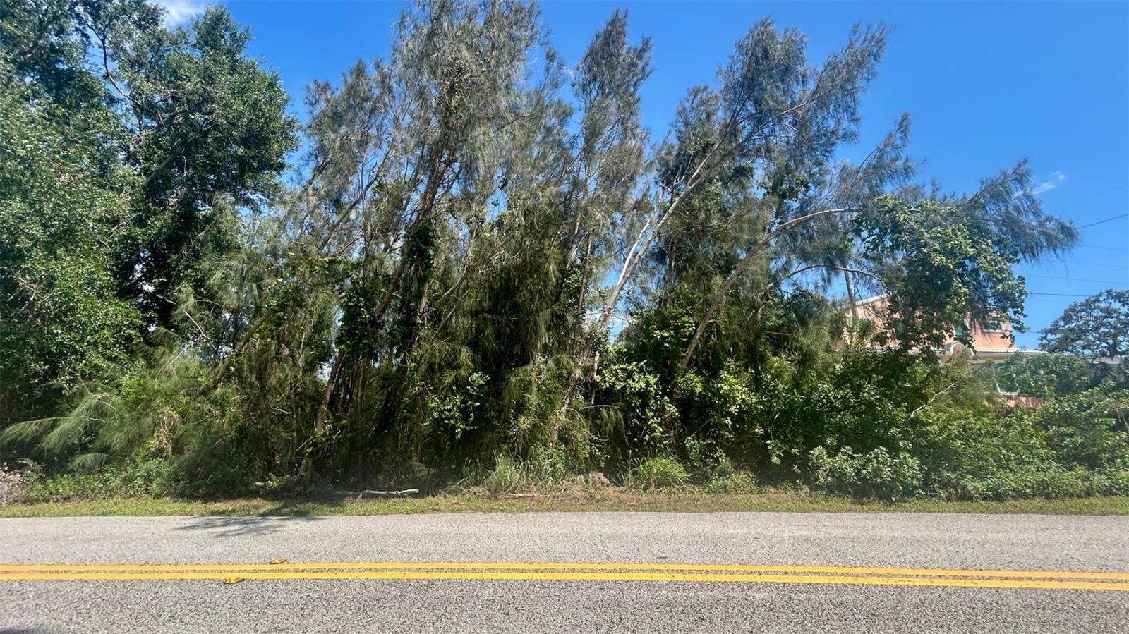 WEEDON DRIVE NE