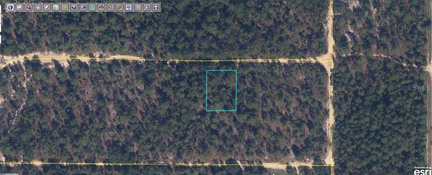 Brief  Description* LOT 8 BLK 102 HIGHRIDGE ESTATE AS REC O R 2497 PG 1977 & 4751 PG 666
Vacant Residential
Note: buyers I emphasize the importance of conducting thorough due diligence to ensure that the property meets your expectations and requirements.