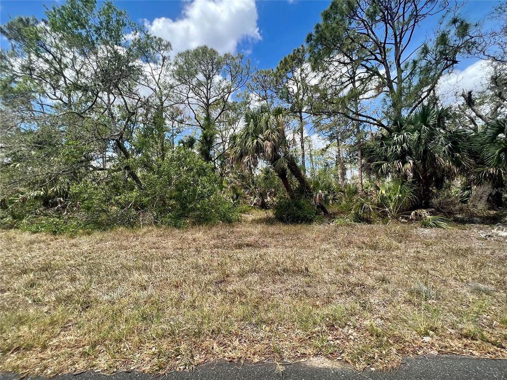 Photo of 1041 Sherwin Street, Port Charlotte, FL 33953 (MLS # C7506804)