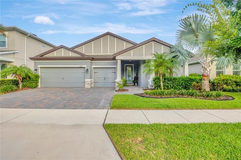 A home in LAND O LAKES