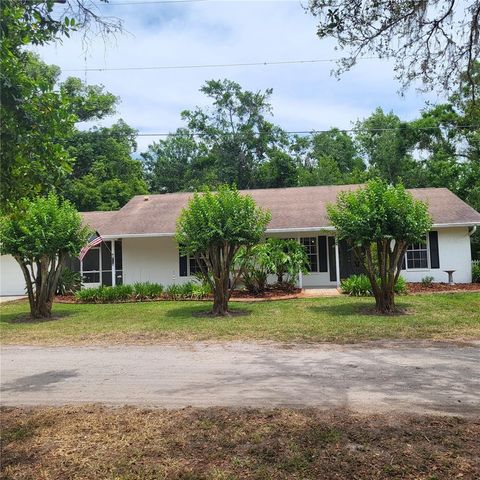 17631 GROVE VIEW DRIVE LUTZ FL 33549