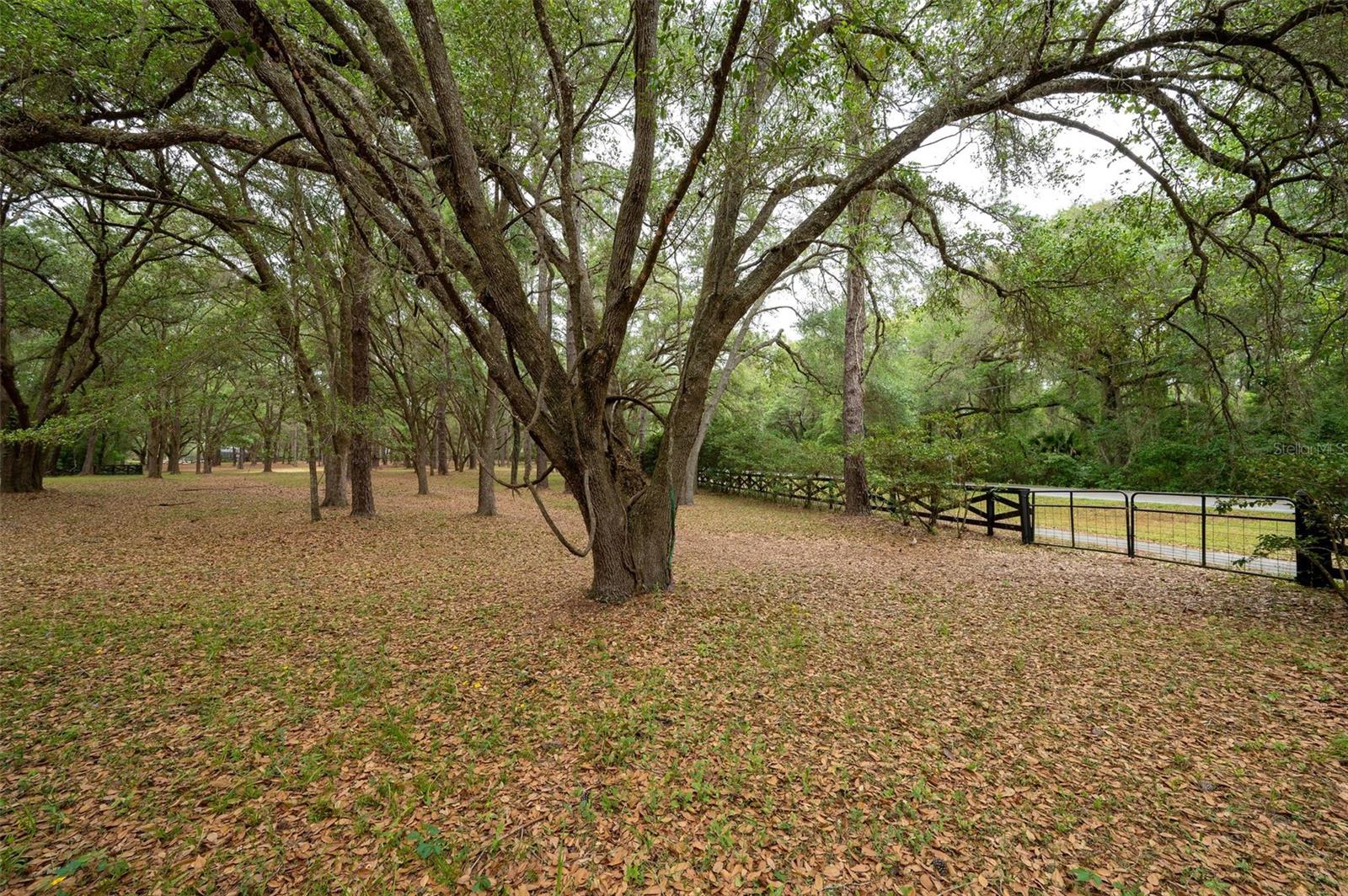 TOMOCA HILLS - Residential