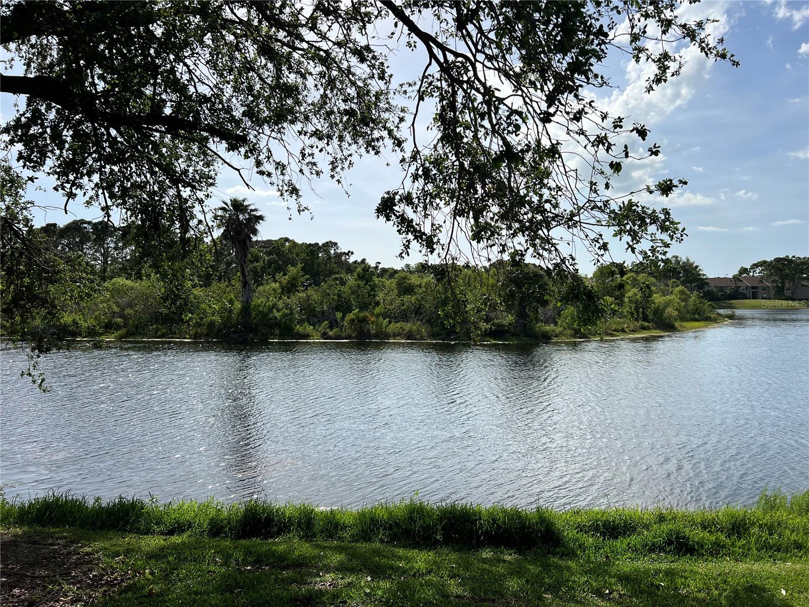 PINESTONE AT PALMER RANCH - Residential Lease