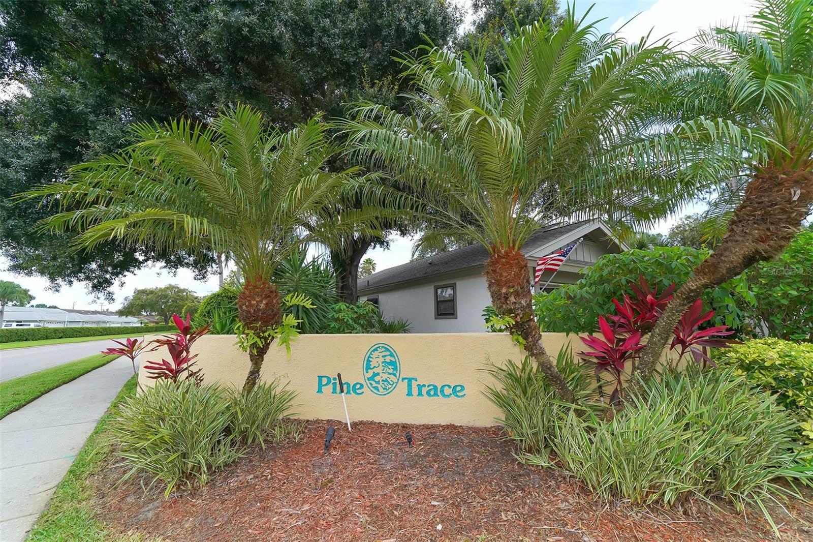 PINE TRACE CONDO - Residential