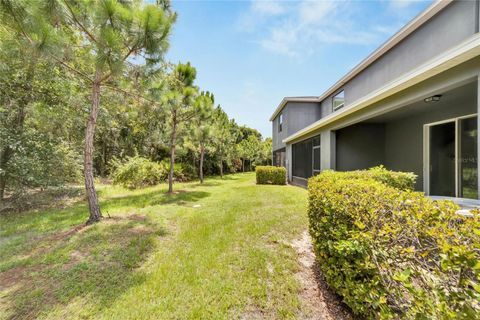 A home in RIVERVIEW