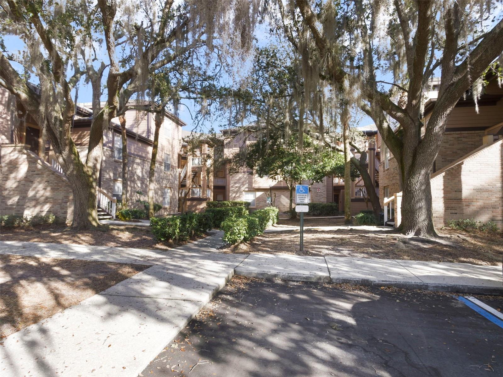 WINDSOR AT SABAL WALK A CONDO - Residential