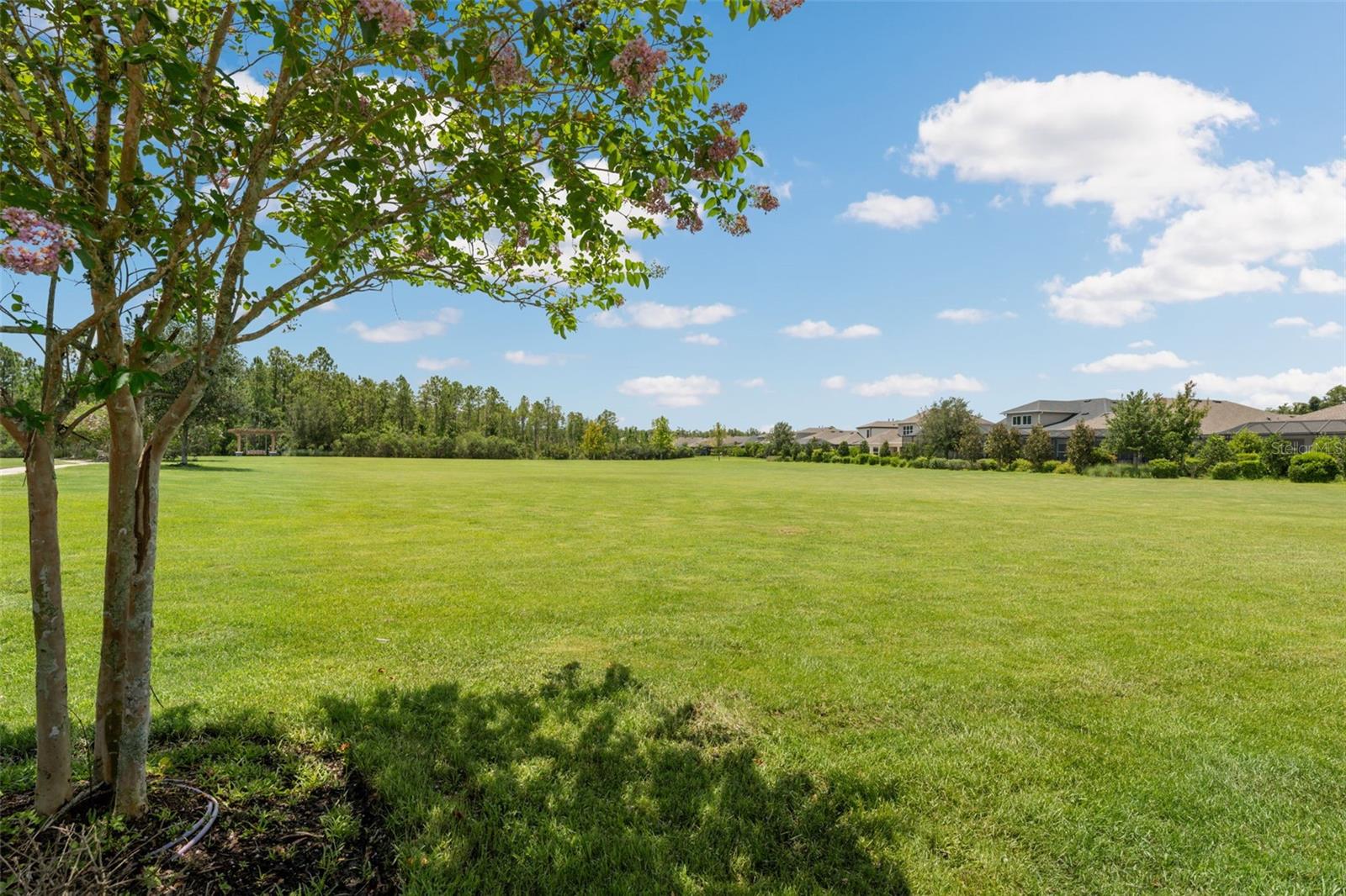 BEXLEY SOUTH 4-4 & NORTH 3-1 P - Residential