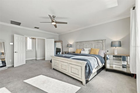 Tiny photo for 113 Peace River Court, Groveland, FL 34736 (MLS # O6451155)