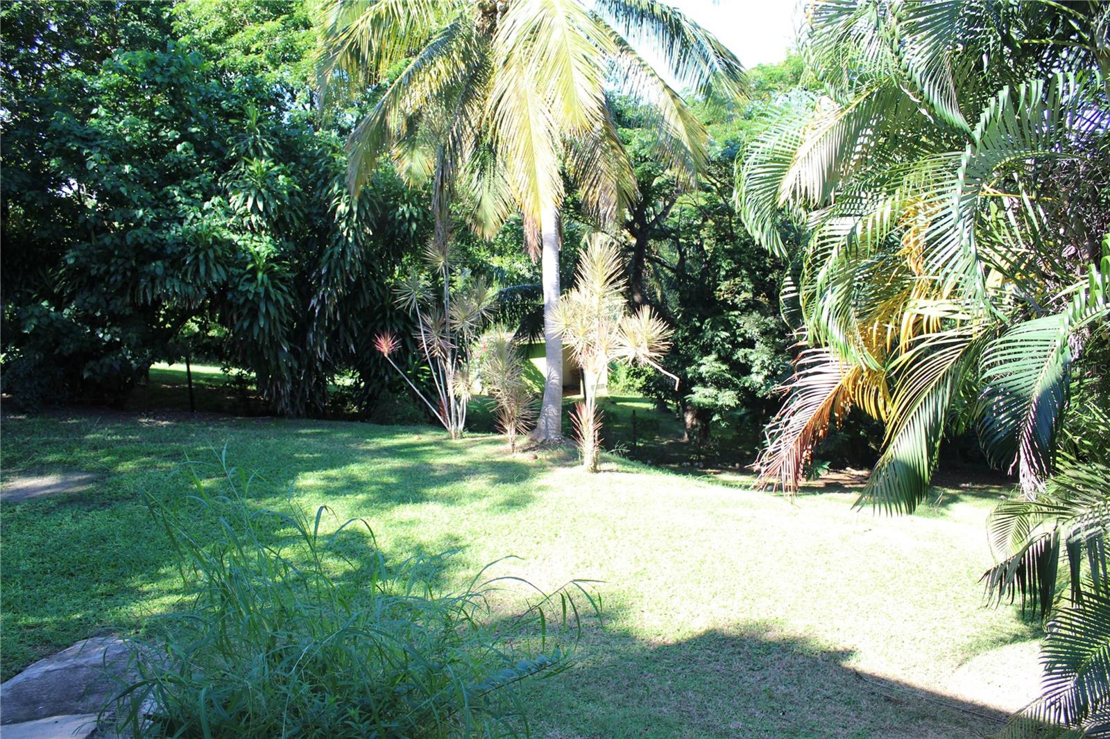 MONTE CARMELO - Residential