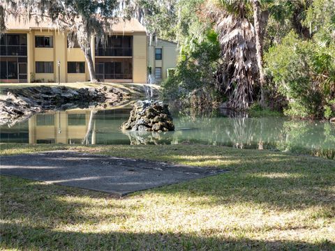 A home in PALM COAST