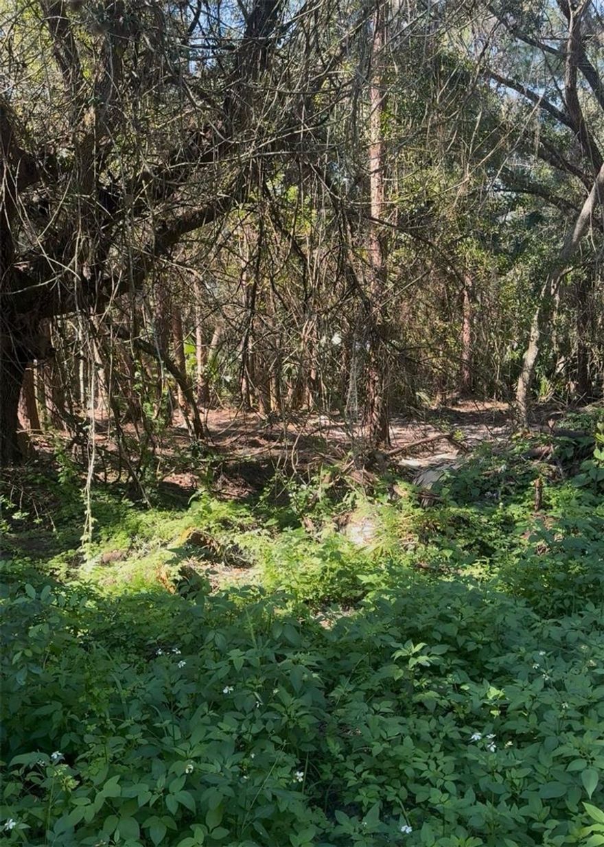 Land for sale, ideal for homeowners, investors, Whether you're looking for a spacious lot to build your dream home.