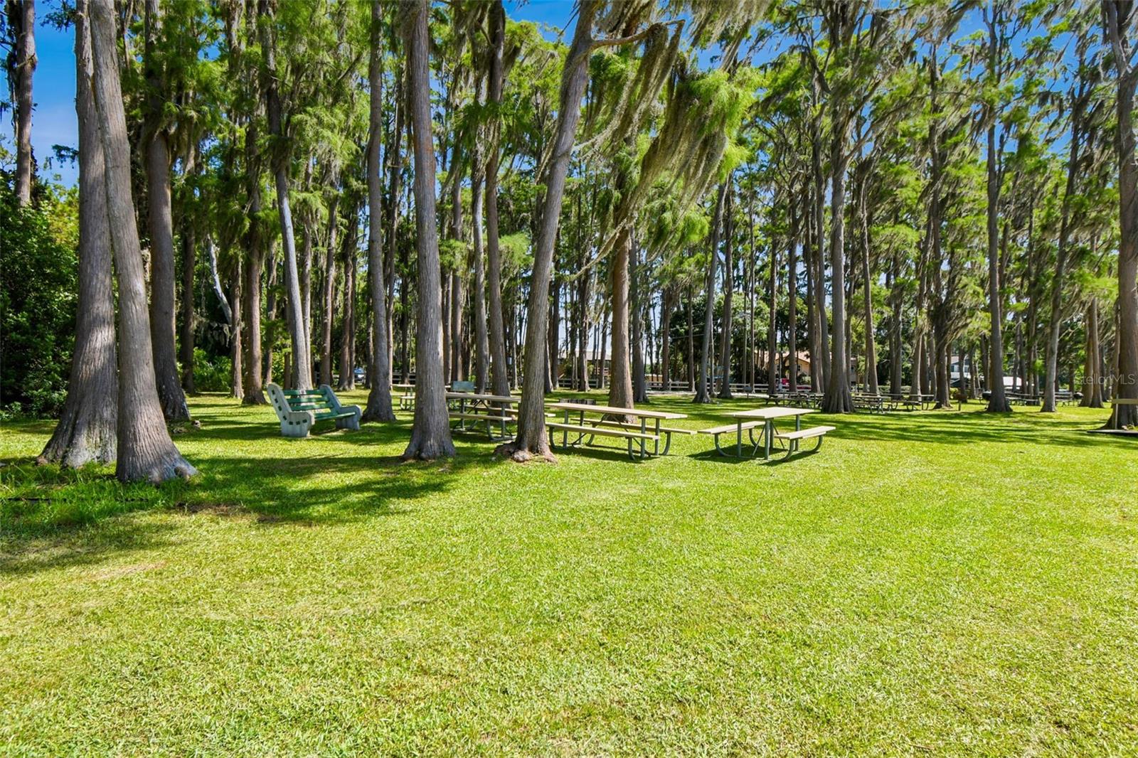 HOLIDAY CLUB - Residential