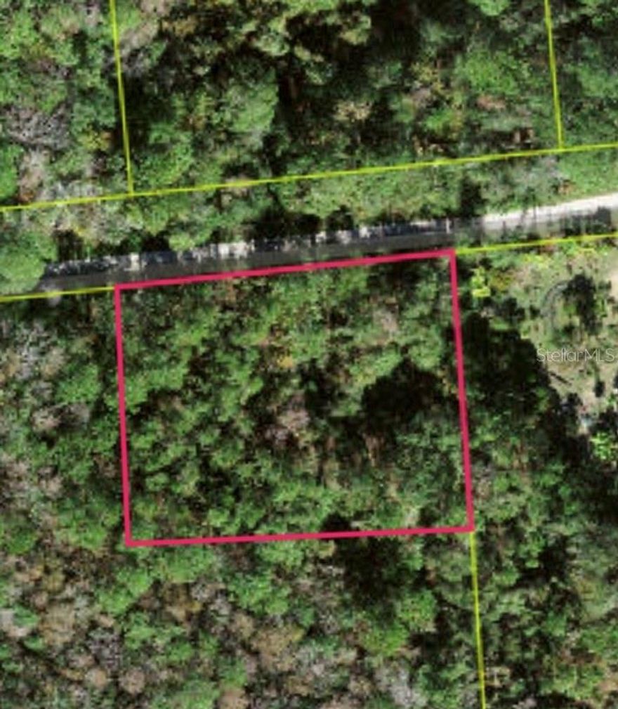 10 acre wooded parcel in a peaceful country setting located in the desirable Happy Trails gated community. This beautiful property offers privacy, natural surroundings and perfect opportunity for horses and abundant wildlife. Surrounded by mature trees and quiet open space. It's an ideal location for anyone looking to build a custom home with a true country feel. Although the propety offers a secluded, low traffic environment, it is still conveniently located just minutes from shopping, dining, Disney and a wide variety of entertainment options. Enjoy the best of both worlds-- tranquil rural living with easy access to everything Central Florida has.