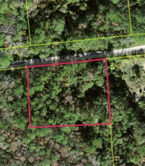 Lot 48 AMELIA TRAIL KISSIMMEE FL 34747