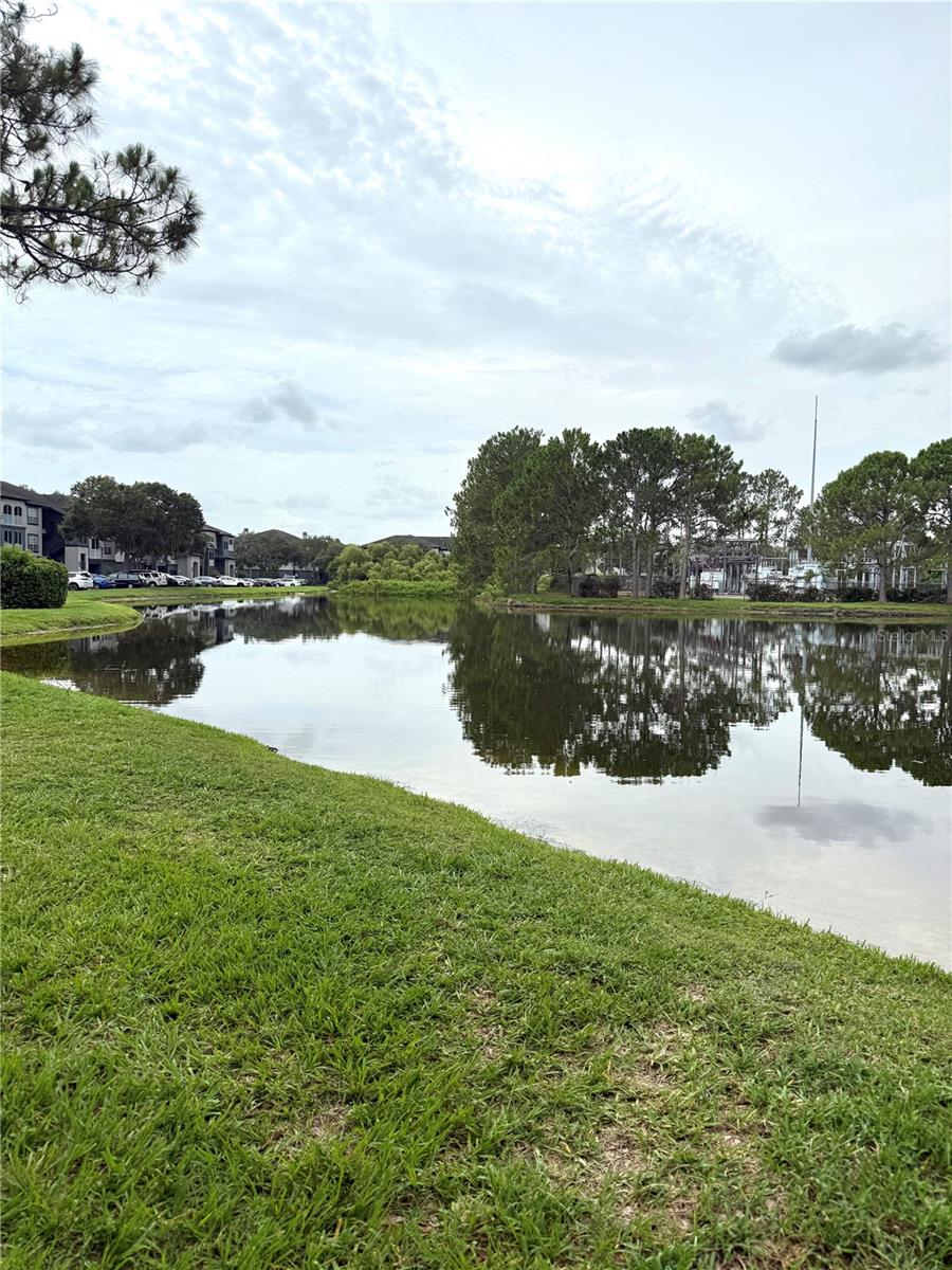 THE PRESERVE AT TEMPLE TERRACE - Residential