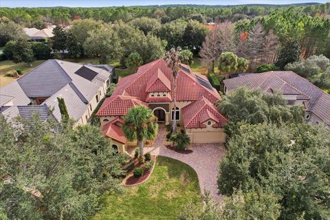 Tiny photo for 1416 N Ridge Meadow Path, Hernando, FL 34442 (MLS # TB8510507)