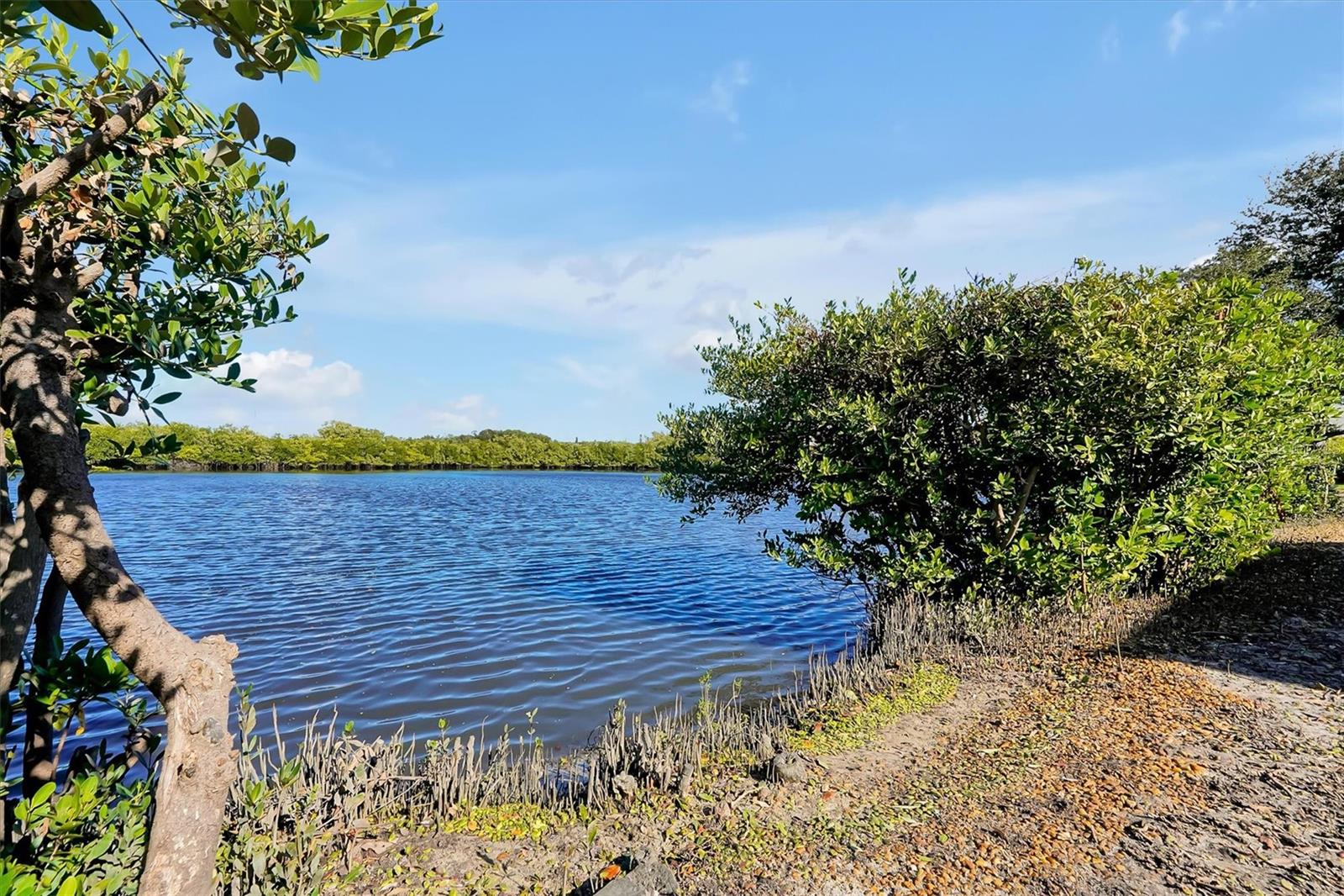 CEDAR DUNES CONDO PH 01-05 - Residential