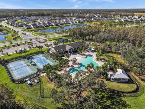 A home in TAMPA