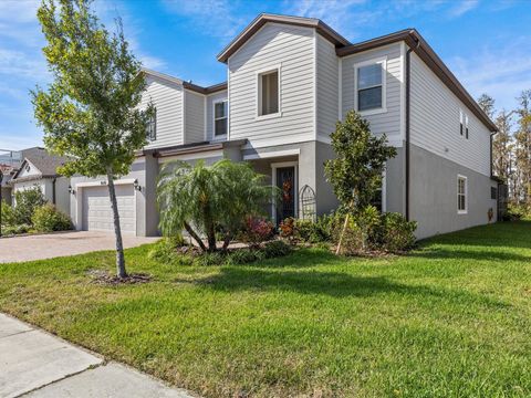 A home in TAMPA