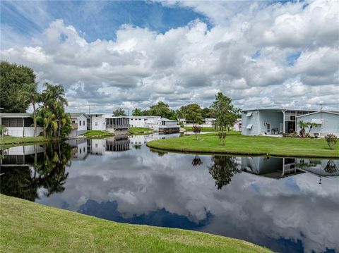 A home in POLK CITY