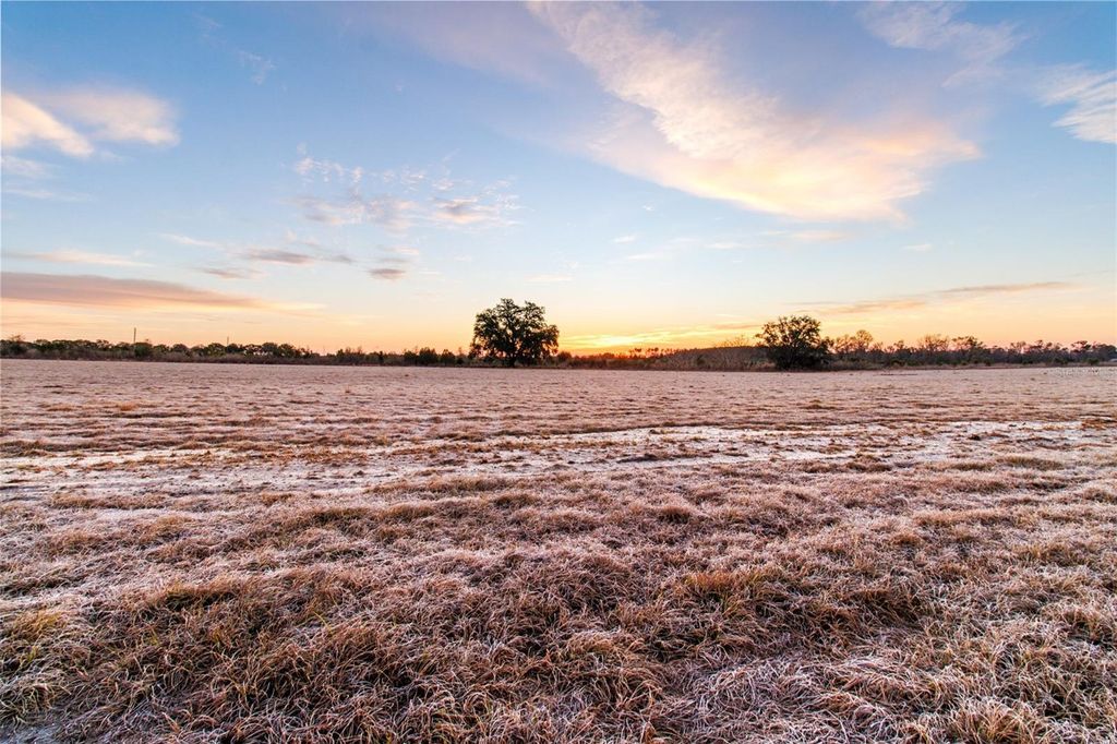 Photo of Royal Sky (lot 6) Court, Brooksville, FL 34602 (MLS # TB8477316)