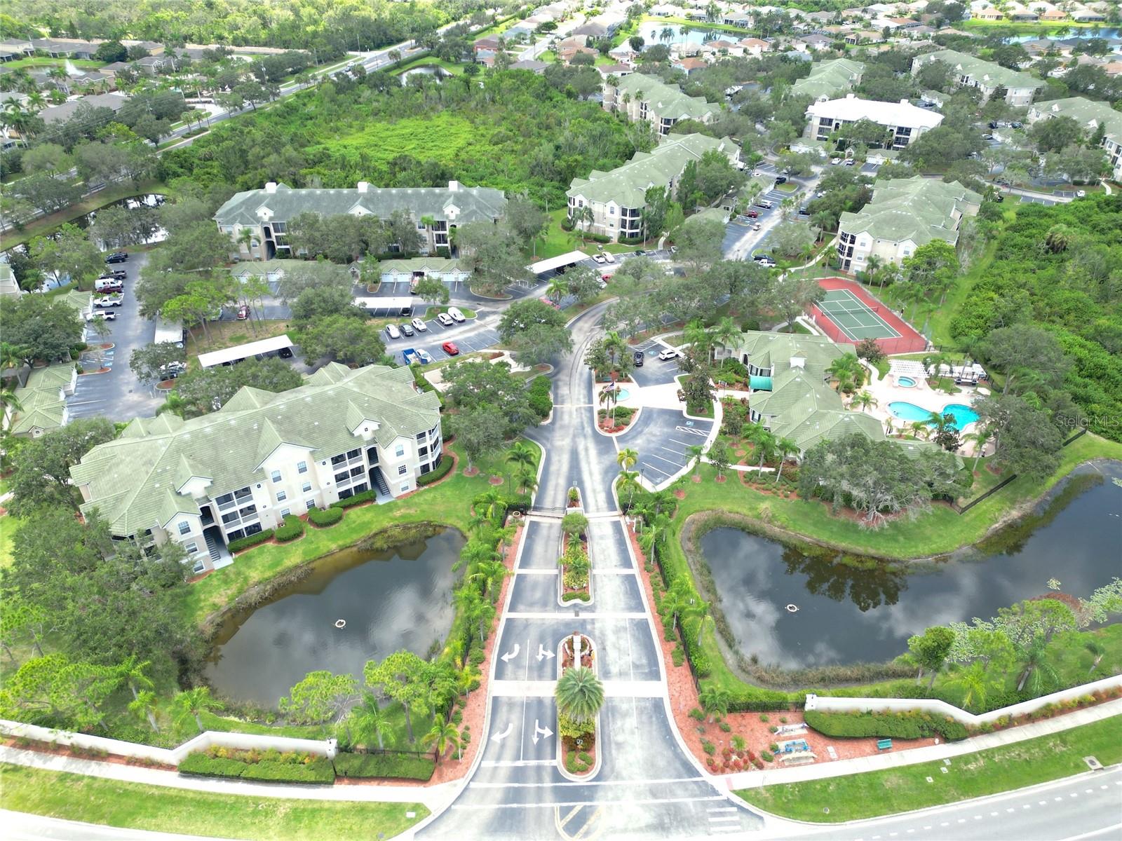 SERENADE ON PALMER RANCH - Residential