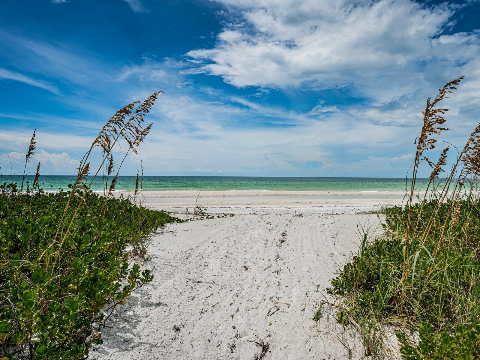 LIGHTHOUSE TOWERS CONDO - Residential