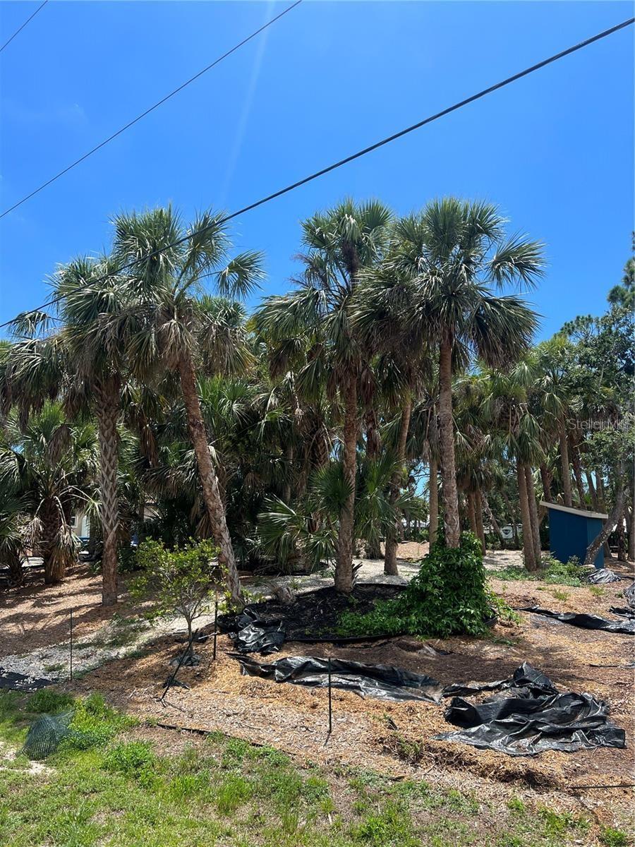 141 HOFFER STREET, PORT CHARLOTTE, FL, 33953 2 141 HOFFER STREET