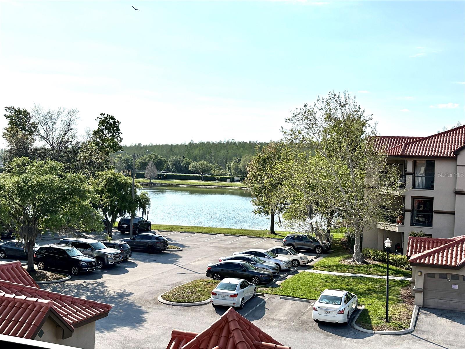LAKEVIEW AT CALUSA TRACE - Residential