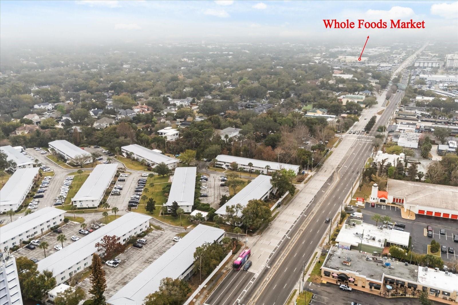 LAKE MAITLAND TERRACE APTS - Residential