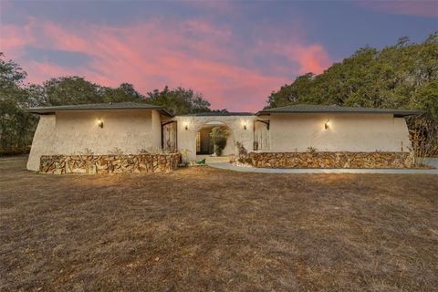 Photo of 790 N Fresno Avenue, Hernando, FL 34442 (MLS # OM719451)