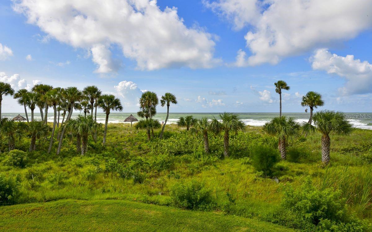 PLAYERS CLUB I - Residential Lease