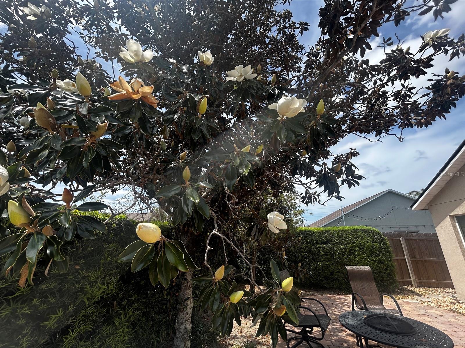 ROSE POINTE - Residential