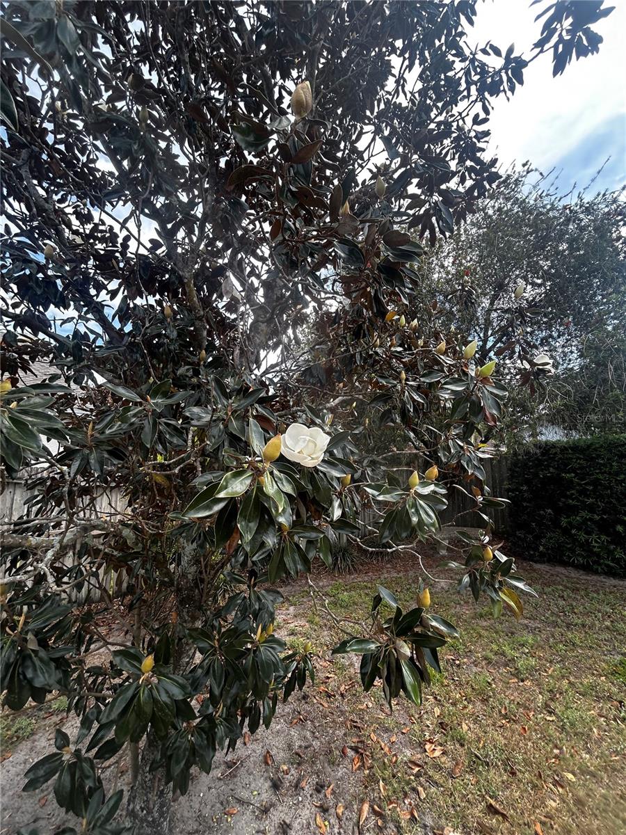 ROSE POINTE - Residential