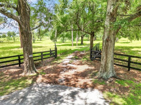 Tiny photo for 7555 SW 77th Place, Ocala, FL 34476 (MLS # OM707268)