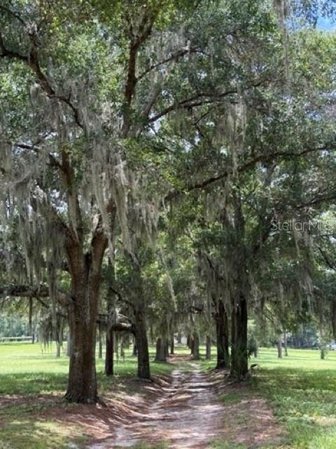 Tiny photo for 7555 SW 77th Place, Ocala, FL 34476 (MLS # OM707268)