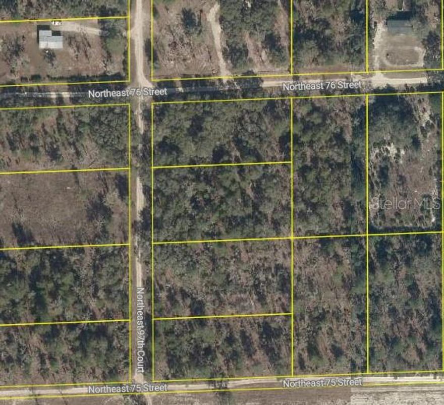 Beautiful Vacant Land in Bronson FL. This undeveloped lot offers a blank canvas ready for your vision, whether you are looking to build your dream home or invest for the future. Located in a peaceful setting with easy access to nearby towns and main roads.